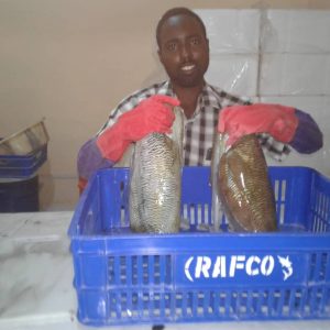 RAFCO Image