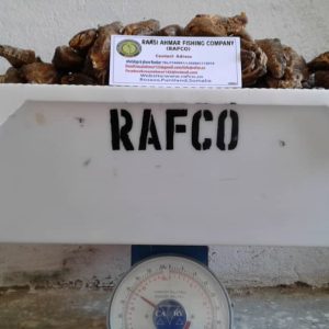 Export Smoking Tuna fish