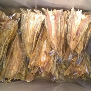 Salted Dry Fish